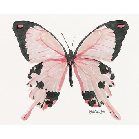 Butterfly 1 Black Modern Wood Framed Art Print with Double Matting by Stellar Design Studio