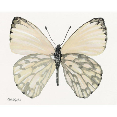 Butterfly 2 Black Modern Wood Framed Art Print with Double Matting by Stellar Design Studio