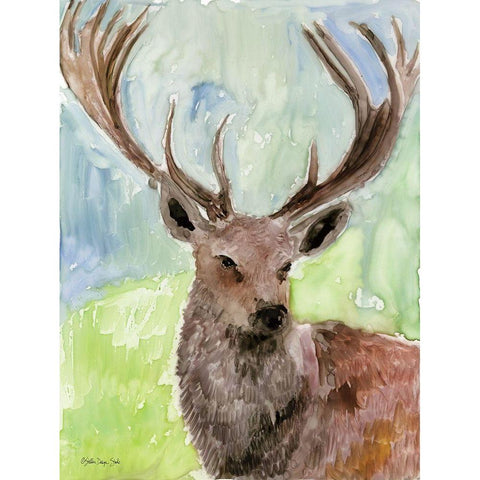 Pacific Coast Wildlife 6 Gold Ornate Wood Framed Art Print with Double Matting by Stellar Designs Studio