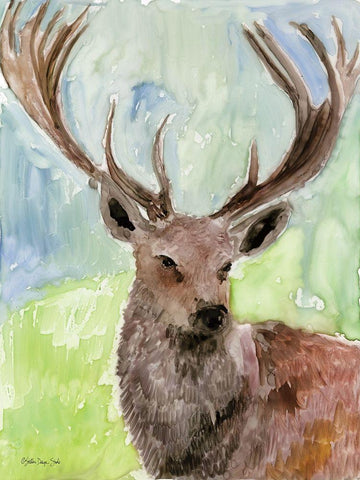 Pacific Coast Wildlife 6 White Modern Wood Framed Art Print with Double Matting by Stellar Designs Studio