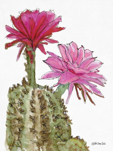 Cactus Flower 2    White Modern Wood Framed Art Print with Double Matting by Stellar Design Studio