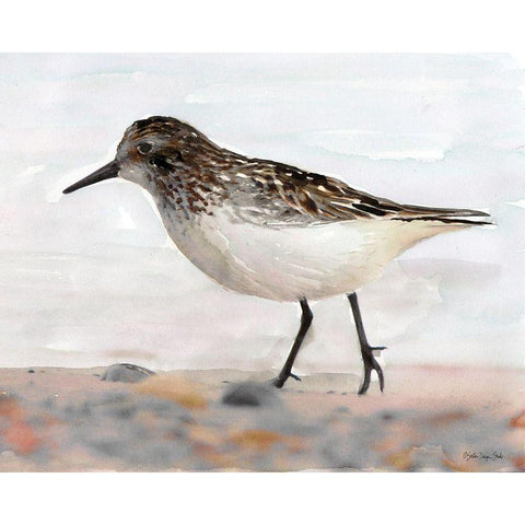 Sandpiper 2 White Modern Wood Framed Art Print by Stellar Design Studio