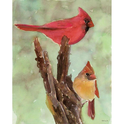 Cardinal 1 White Modern Wood Framed Art Print by Stellar Design Studio