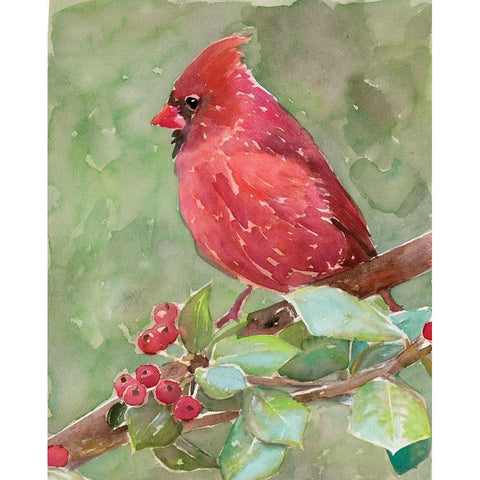 Cardinal 2 Gold Ornate Wood Framed Art Print with Double Matting by Stellar Design Studio