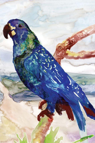 Blue Parrot on Branch 2 White Modern Wood Framed Art Print with Double Matting by Stellar Design Studio