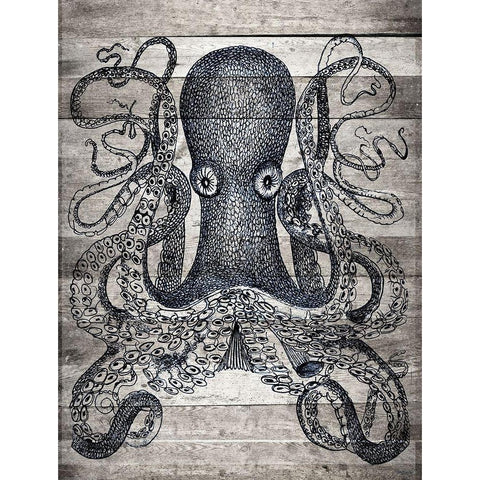 Kraken II Black Modern Wood Framed Art Print with Double Matting by Stellar Design Studio