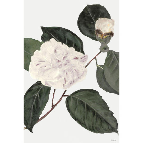 White Botanical I Black Modern Wood Framed Art Print by Stellar Design Studio