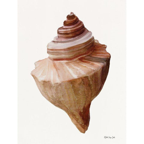 Neutral Shell Collection 4 Black Modern Wood Framed Art Print with Double Matting by Stellar Design Studio