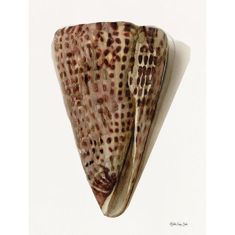 Neutral Shell Collection 6 Black Modern Wood Framed Art Print by Stellar Design Studio