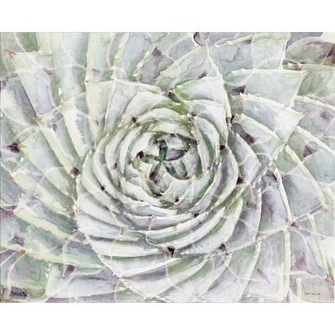 Succulent Macro  Black Modern Wood Framed Art Print with Double Matting by Stellar Designs Studio