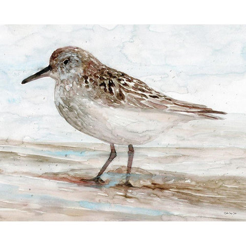 Sanibel Piper 1   White Modern Wood Framed Art Print by Stellar Design Studio