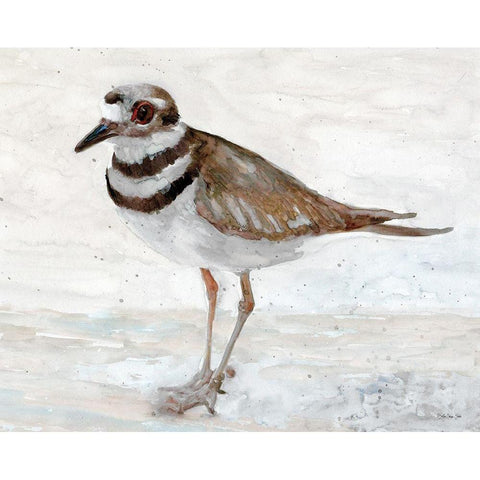 Sanibel Piper 4  White Modern Wood Framed Art Print by Stellar Design Studio