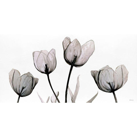 Floral Simplicity Black Modern Wood Framed Art Print with Double Matting by Stellar Design Studio