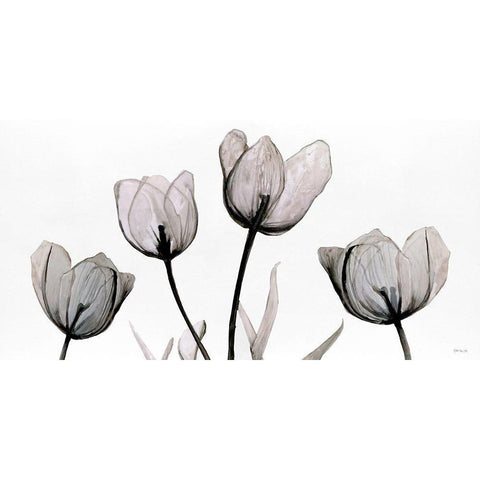 Floral Simplicity White Modern Wood Framed Art Print by Stellar Design Studio