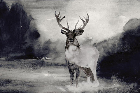 Bull in Forest 1 Black Ornate Wood Framed Art Print with Double Matting by Stellar Design Studio