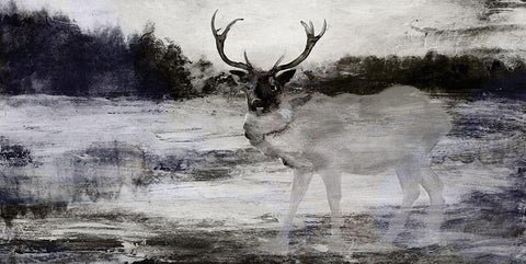 Bull in Forest 2 Black Ornate Wood Framed Art Print with Double Matting by Stellar Design Studio