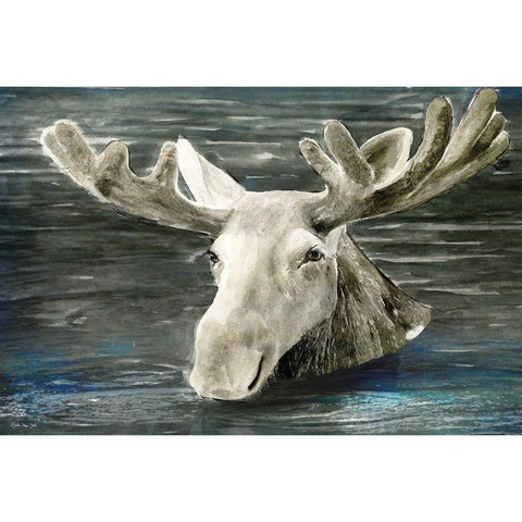 Lake Moose Black Modern Wood Framed Art Print with Double Matting by Stellar Design Studio