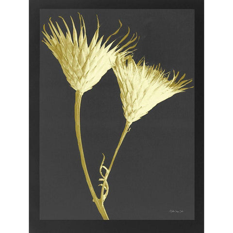 Forms in Nature 2 Gold Ornate Wood Framed Art Print with Double Matting by Stellar Design Studio