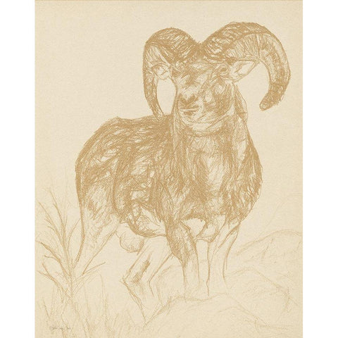 Big Horn Sketch White Modern Wood Framed Art Print by Stellar Design Studio