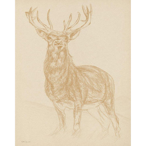 Buck Sketch White Modern Wood Framed Art Print by Stellar Design Studio