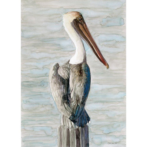 Brown Pelican 1 Black Modern Wood Framed Art Print with Double Matting by Stellar Design Studio