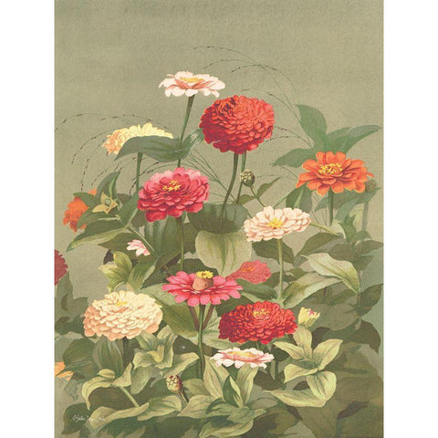 Antique Botanical Collection 1 White Modern Wood Framed Art Print by Stellar Design Studio