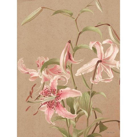 Antique Botanical Collection 3 White Modern Wood Framed Art Print by Stellar Design Studio