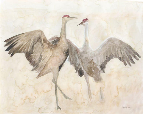 Sandhill Cranes 1 White Modern Wood Framed Art Print with Double Matting by Stellar Design Studio