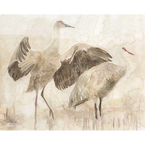 Sandhill Cranes 2 Black Modern Wood Framed Art Print with Double Matting by Stellar Design Studio