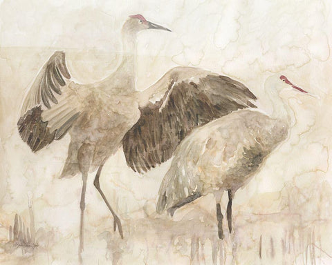 Sandhill Cranes 2 Black Ornate Wood Framed Art Print with Double Matting by Stellar Design Studio