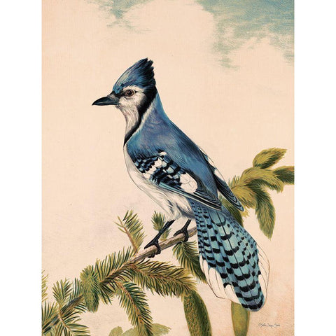 Bluebird on Evergreen White Modern Wood Framed Art Print by Stellar Design Studio