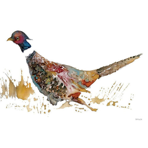 Pheasant 2 Black Modern Wood Framed Art Print with Double Matting by Stellar Design Studio