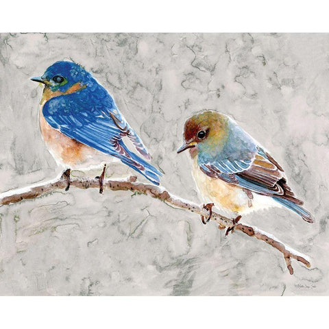 Eastern Bluebirds 1 White Modern Wood Framed Art Print by Stellar Design Studio