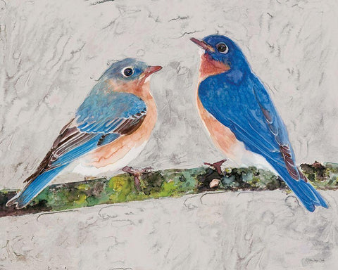 Eastern Bluebirds 2 Black Ornate Wood Framed Art Print with Double Matting by Stellar Design Studio