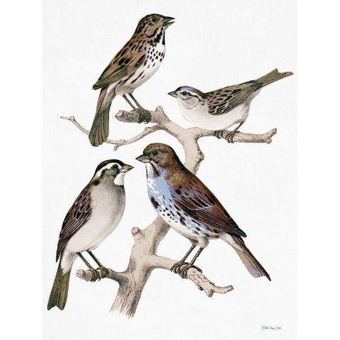 Birds on Branch White Modern Wood Framed Art Print by Stellar Design Studio