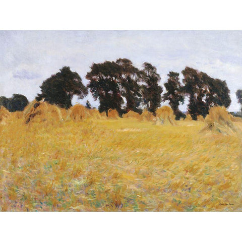 The Field Black Modern Wood Framed Art Print with Double Matting by Seven Trees Design