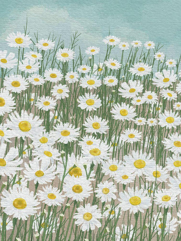 Daisies in the Sky White Modern Wood Framed Art Print with Double Matting by Seven Trees Design