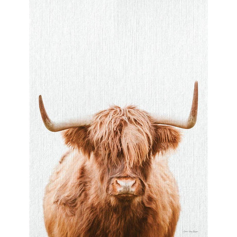 Cow Portrait Black Modern Wood Framed Art Print with Double Matting by Seven Trees Design