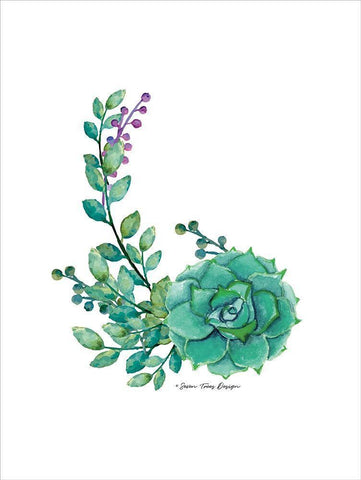 Succulent Plant I Black Ornate Wood Framed Art Print with Double Matting by Seven Trees Design