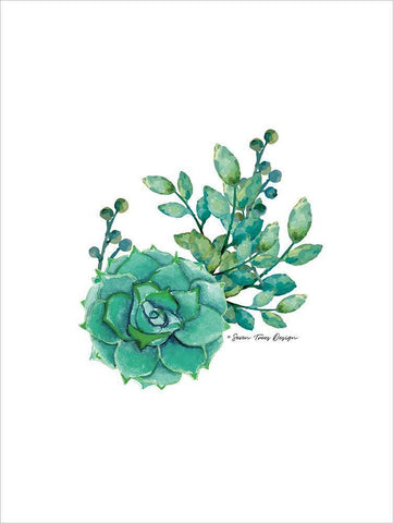 Succulent Plant III Black Ornate Wood Framed Art Print with Double Matting by Seven Trees Design