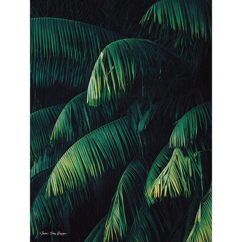 Palm Leaves   Black Modern Wood Framed Art Print with Double Matting by Seven Trees Design