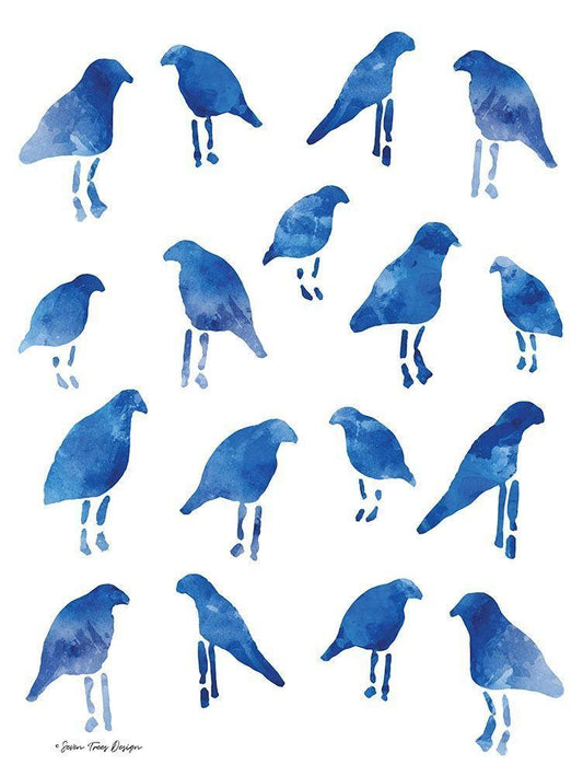 Image Only