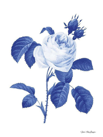 Blue Botanical I White Modern Wood Framed Art Print with Double Matting by Seven Trees Design