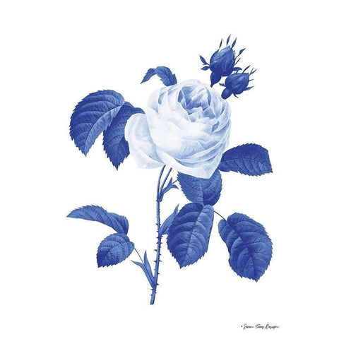 Blue Botanical I Black Modern Wood Framed Art Print with Double Matting by Seven Trees Design