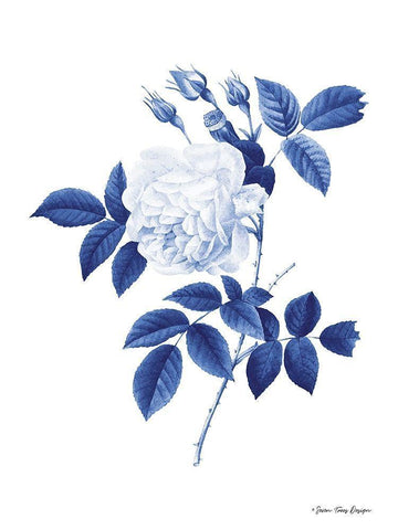 Blue Botanical II White Modern Wood Framed Art Print with Double Matting by Seven Trees Design