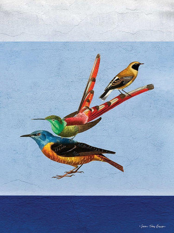 Stacked Birds White Modern Wood Framed Art Print with Double Matting by Seven Trees Design