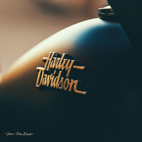 Harley I White Modern Wood Framed Art Print with Double Matting by Seven Trees Design