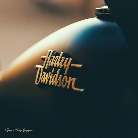 Harley I Gold Ornate Wood Framed Art Print with Double Matting by Seven Trees Design