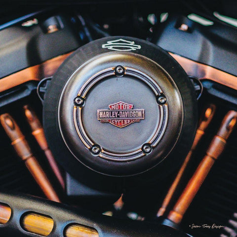 Harley II Black Ornate Wood Framed Art Print with Double Matting by Seven Trees Design