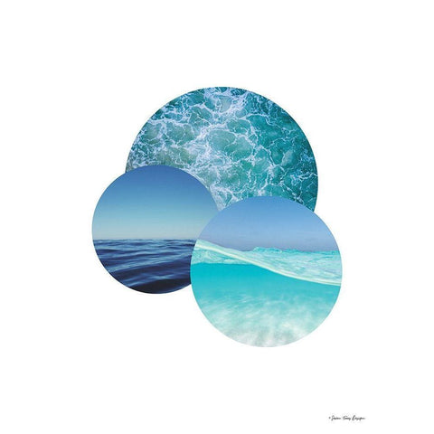 Plante Oceans Black Modern Wood Framed Art Print with Double Matting by Seven Trees Design
